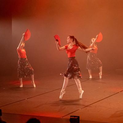 Gala Savie danse 2024