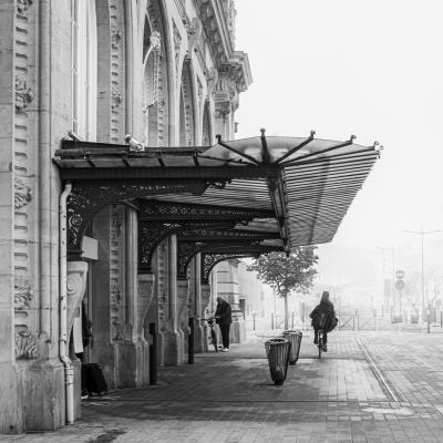 Arrivée Dans La Brume