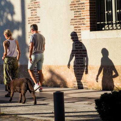 Fidèle comme mon ombre