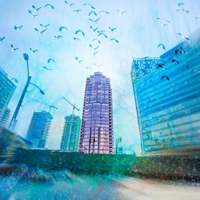 Photographies d'architecture