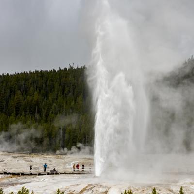 Yellowstone