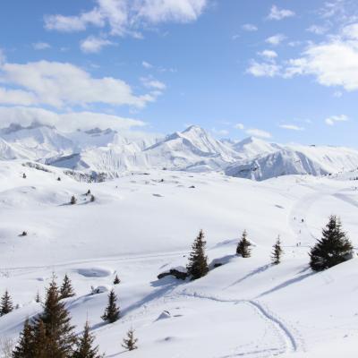 Montagnes enneigées