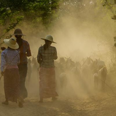 Poussières ensoleillées
